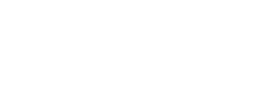 viking.png